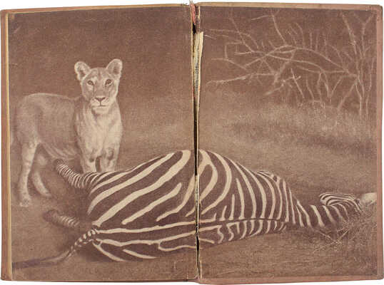 Экли К. В сердце Африки / Пер. и обраб. Е.Г. Лундберга; переплет и титул худож. А. Радищева. М., 1935.